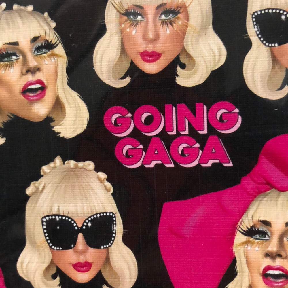 • lady gaga “going gaga” journal notebook •